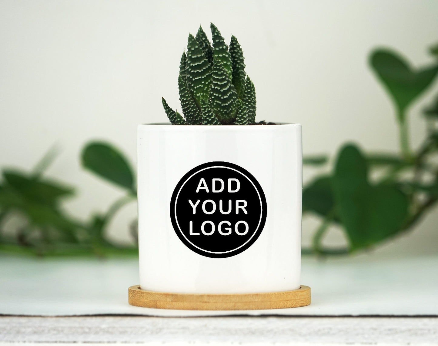 Planter With Custom Business Logo  - 3 Inch White Ceramic Pot w/ Bamboo Tray - Personalized Corporate Gift - Company Gift - Co-worker Gift