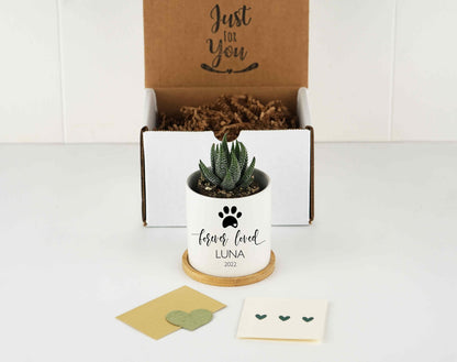 Spa Gift Box - Personalized Dog Memorial Gift Planter - 3" White Ceramic Pot w/ Bamboo Tray - "Forever Loved" - Pet Memorial