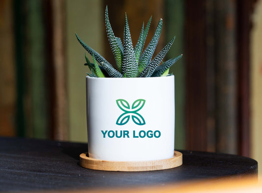 Custom Logo Gift - 3" White Ceramic Pot w/ Bamboo Tray - Corporate Gifts - Company Logo Gift, Logo Gift, Succulent Planter, Custom Planter
