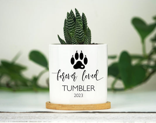 Personalized Cat Memorial Gift Planter - 3" White Ceramic Pot w/ Bamboo Tray - "Forever Loved" - Cat Sympathy Gift - Pet Memorial