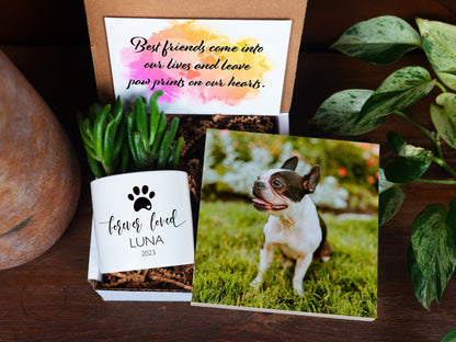 Personalized Dog Memorial Gift - 6" Photo Block + Planter - Pet Memorial Gift, Dog Memorial Frame , Loss of Dog Gift, Pet Memorial Gift Box