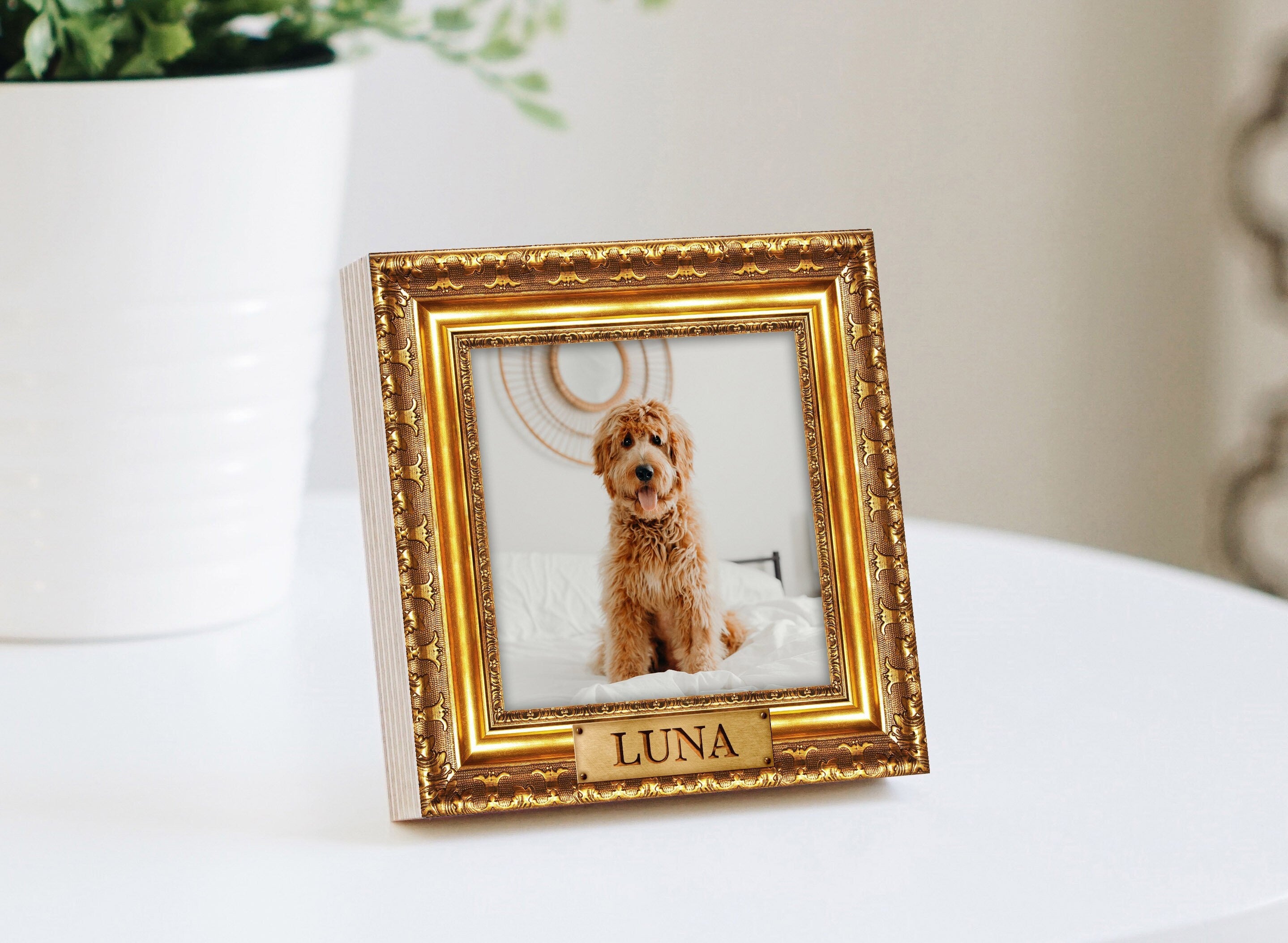 Vintage Green Photograph Frame with Raised Gold Coloured Shooter and 2024 Dogs