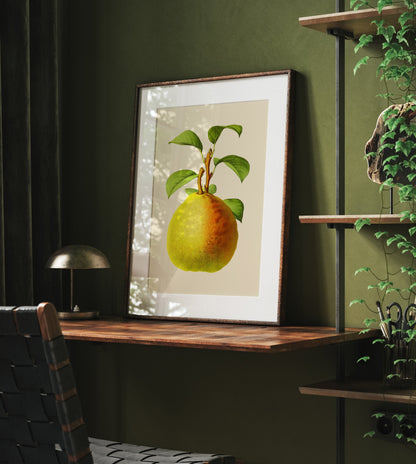 Vintage Pear Fruit Print - Professional Art Print Set- Kitchen Art, Botanical Art, Kitchen Decor, Kitchen wall art, Art for Kitchen